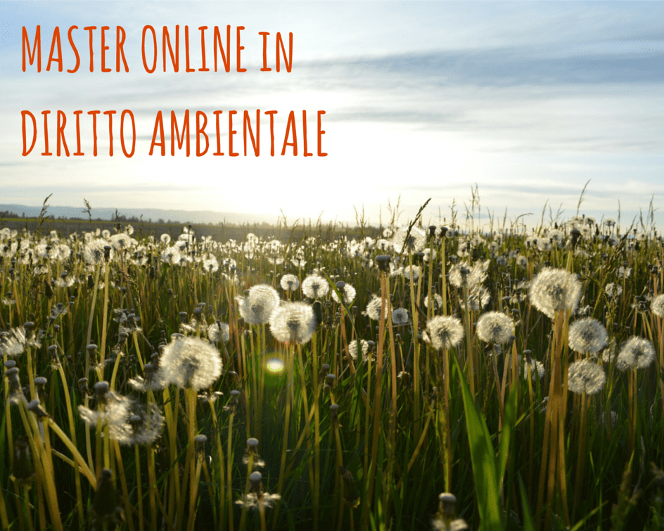 Diritto ambientale e tutela del territorio: ecco il master online Unicusano!