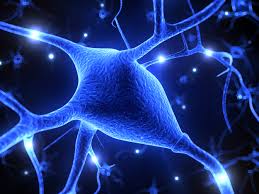 Ricerca: da Londra a Como per la solidarietà