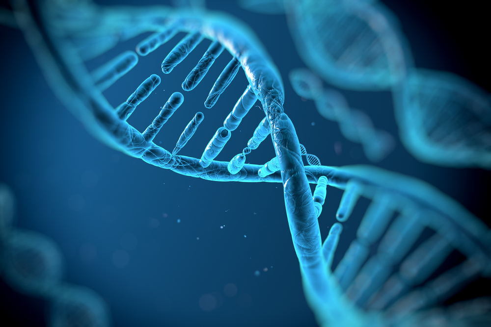 Struttura del DNA: ecco quello che devi sapere