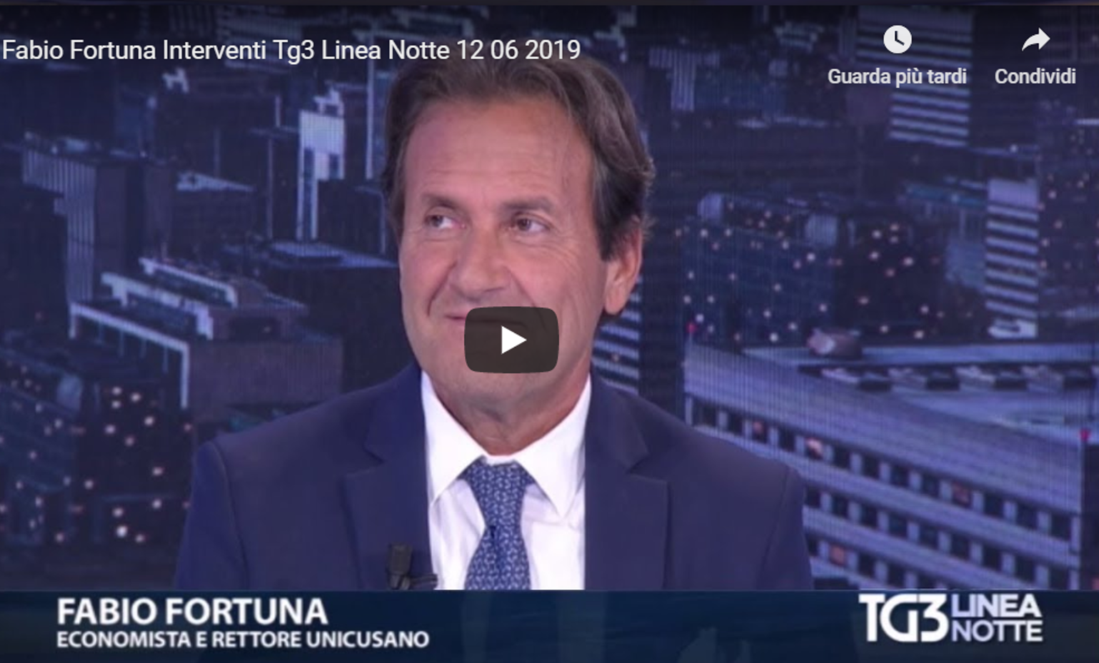 Fabio Fortuna a Tg3 Linea Notte (puntata 12/06/2019)