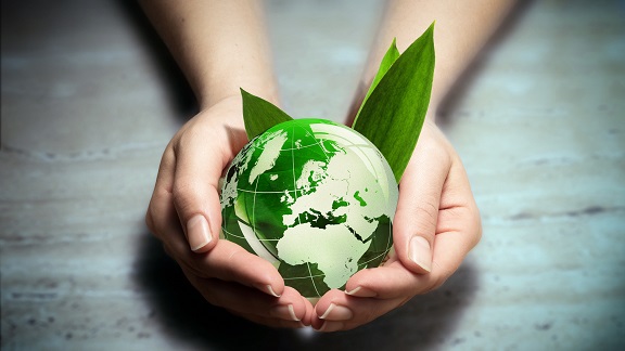 Medicina ambientale: cos’è e cosa studia