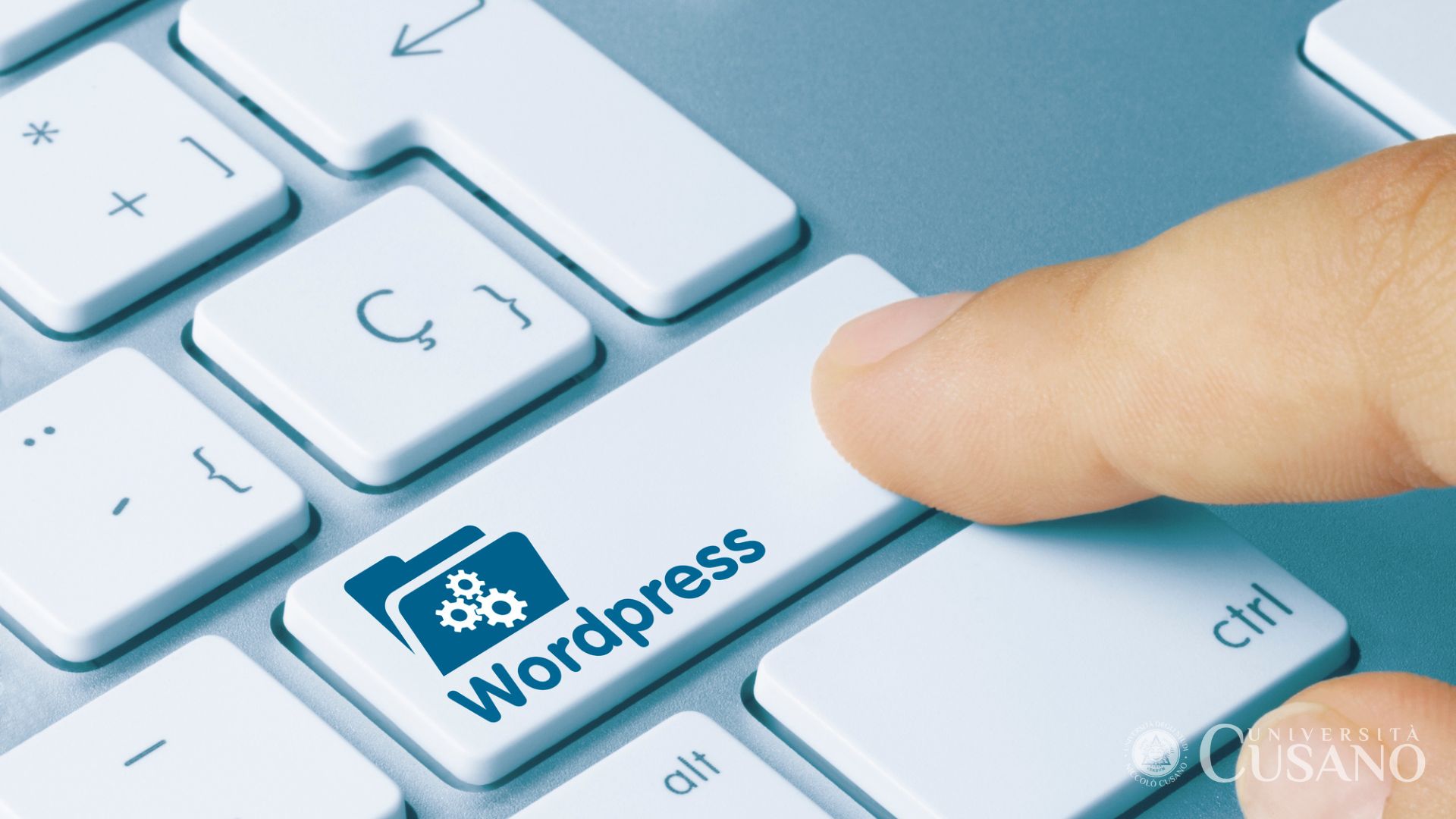 Come usare WordPress: la guida pratica
