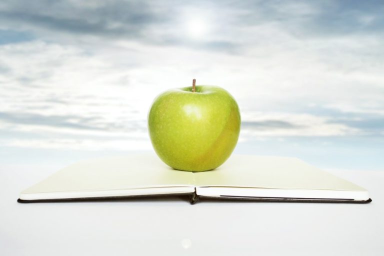Laurea in filosofia: gli sbocchi professionali