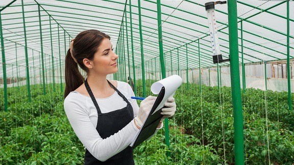 Cosa fare dopo agraria: sbocchi lavorativi e consigli utili