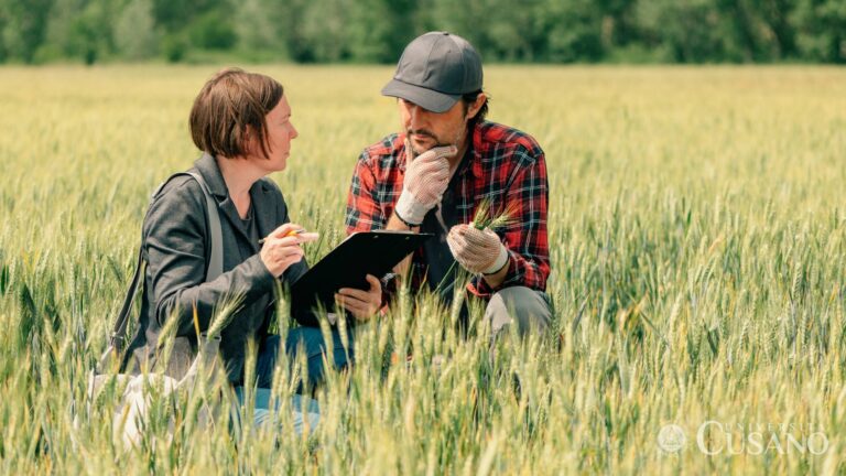 Cosa fare dopo agraria: sbocchi lavorativi e consigli utili
