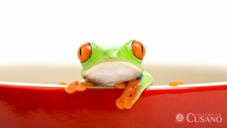 Tecnica della rana bollita