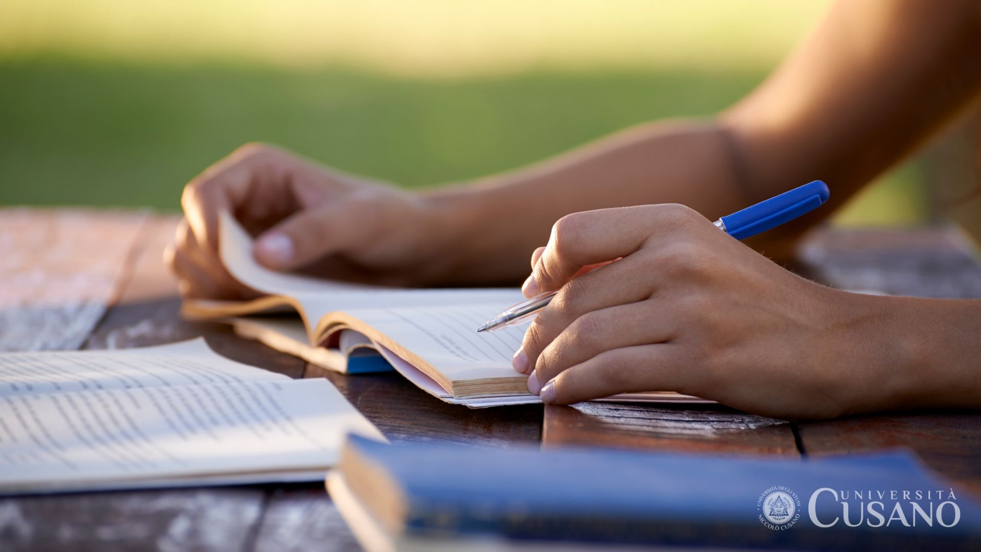 Quante ore studiare al giorno?