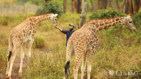 come diventare etologo