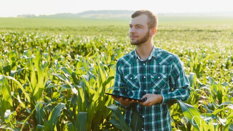 Come diventare agronomo: studi e possibilità