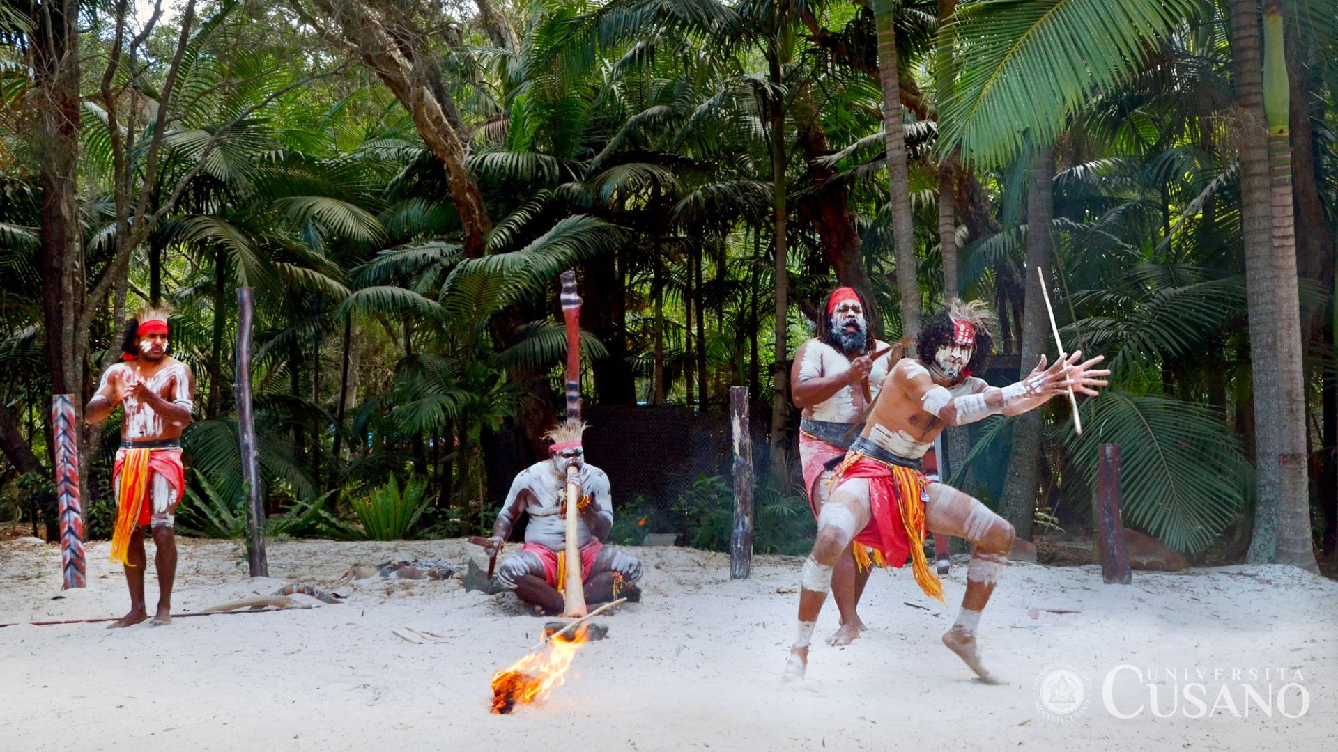 Antropologia culturale: cosa si studia nei corsi umanistici e perché è attuale anche oggi