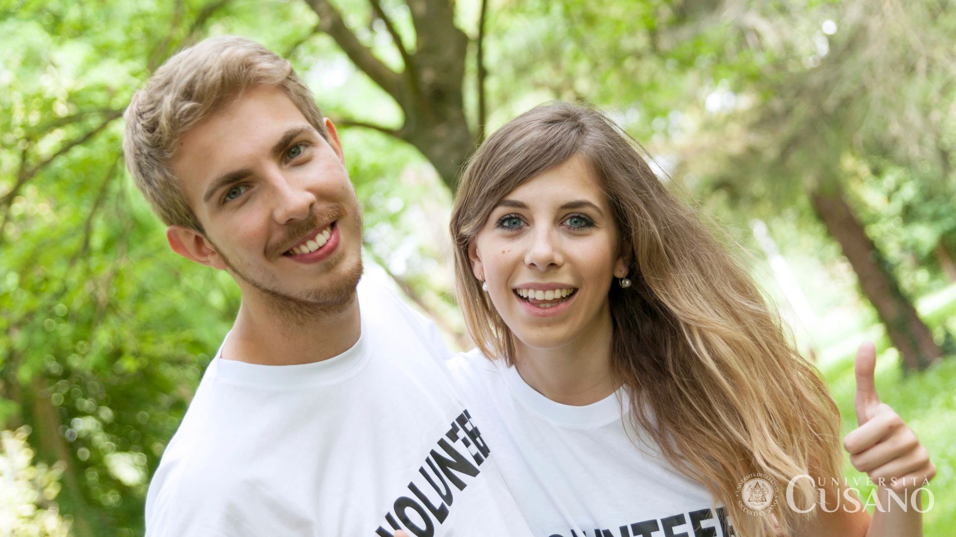 Diritto dell’economia degli Enti No-Profit: in cosa consiste e come studiarlo?